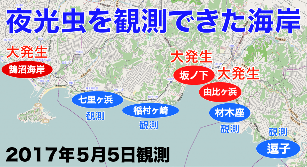 17年５月 鎌倉で夜光虫を観測 過去最大級の輝きを魅せる Ema 江の島と鎌倉の観光やグルメ情報をお届け